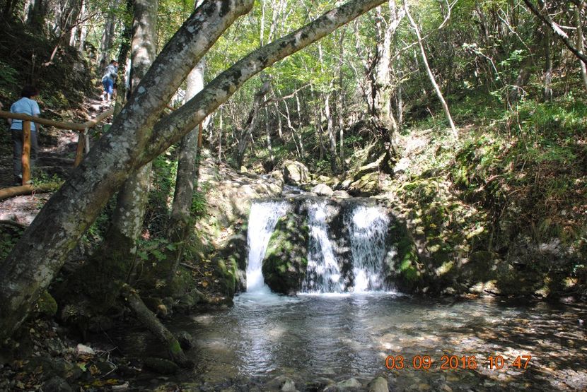  - 2016 02-04 septembrie CHEILE NEREI-CASCADA BEUSNITA-OCHIUL BEIULUI-CASCADA BIGAR