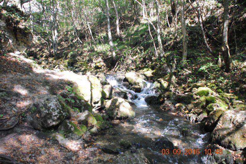  - 2016 02-04 septembrie CHEILE NEREI-CASCADA BEUSNITA-OCHIUL BEIULUI-CASCADA BIGAR