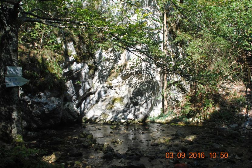 - 2016 02-04 septembrie CHEILE NEREI-CASCADA BEUSNITA-OCHIUL BEIULUI-CASCADA BIGAR