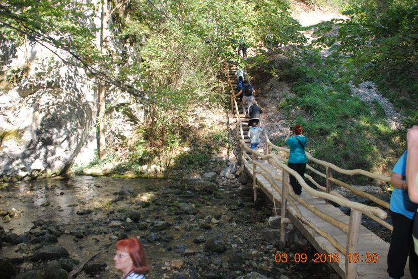  - 2016 02-04 septembrie CHEILE NEREI-CASCADA BEUSNITA-OCHIUL BEIULUI-CASCADA BIGAR