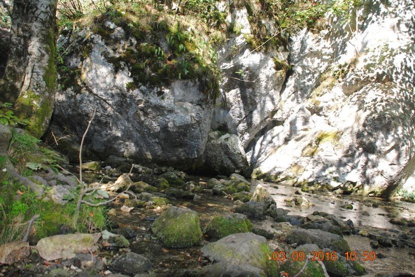  - 2016 02-04 septembrie CHEILE NEREI-CASCADA BEUSNITA-OCHIUL BEIULUI-CASCADA BIGAR