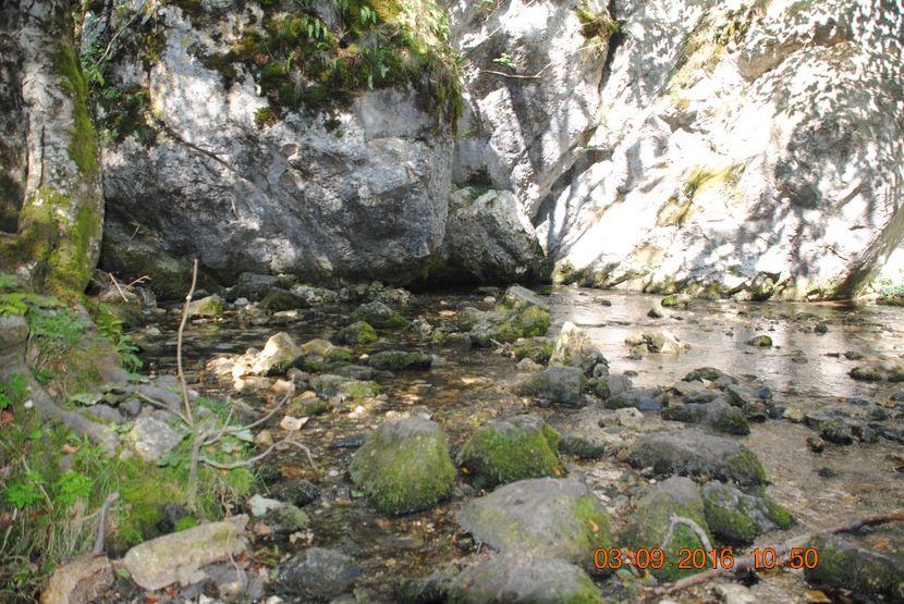  - 2016 02-04 septembrie CHEILE NEREI-CASCADA BEUSNITA-OCHIUL BEIULUI-CASCADA BIGAR