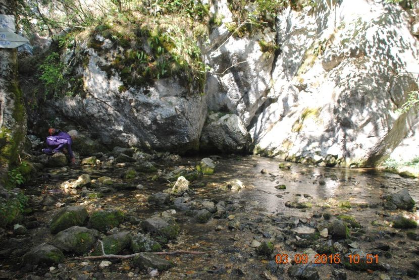  - 2016 02-04 septembrie CHEILE NEREI-CASCADA BEUSNITA-OCHIUL BEIULUI-CASCADA BIGAR
