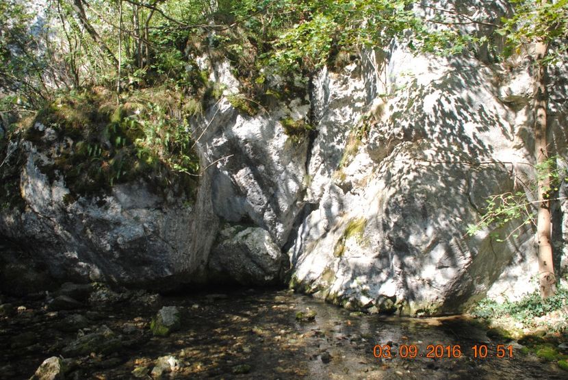  - 2016 02-04 septembrie CHEILE NEREI-CASCADA BEUSNITA-OCHIUL BEIULUI-CASCADA BIGAR