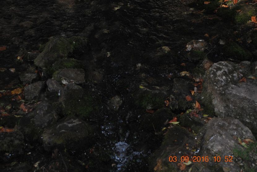  - 2016 02-04 septembrie CHEILE NEREI-CASCADA BEUSNITA-OCHIUL BEIULUI-CASCADA BIGAR