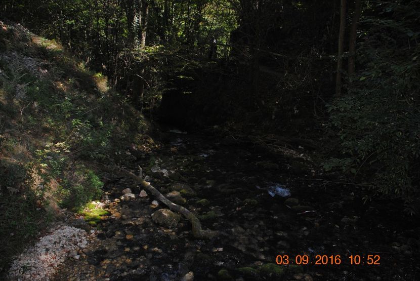  - 2016 02-04 septembrie CHEILE NEREI-CASCADA BEUSNITA-OCHIUL BEIULUI-CASCADA BIGAR