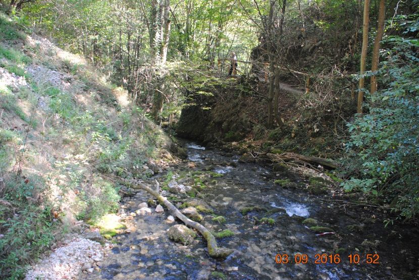  - 2016 02-04 septembrie CHEILE NEREI-CASCADA BEUSNITA-OCHIUL BEIULUI-CASCADA BIGAR