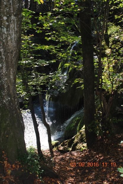  - 2016 02-04 septembrie CHEILE NEREI-CASCADA BEUSNITA-OCHIUL BEIULUI-CASCADA BIGAR