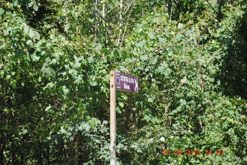  - 2016 02-04 septembrie CHEILE NEREI-CASCADA BEUSNITA-OCHIUL BEIULUI-CASCADA BIGAR