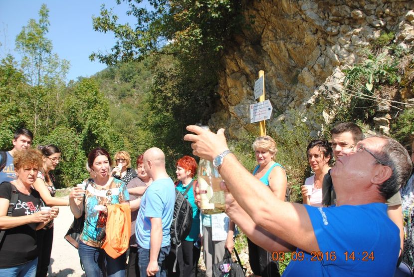  - 2016 02-04 septembrie CHEILE NEREI-CASCADA BEUSNITA-OCHIUL BEIULUI-CASCADA BIGAR