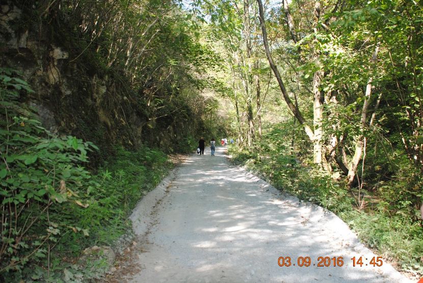  - 2016 02-04 septembrie CHEILE NEREI-CASCADA BEUSNITA-OCHIUL BEIULUI-CASCADA BIGAR