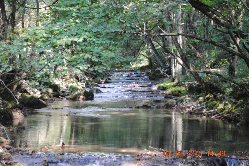  - 2016 02-04 septembrie CHEILE NEREI-CASCADA BEUSNITA-OCHIUL BEIULUI-CASCADA BIGAR