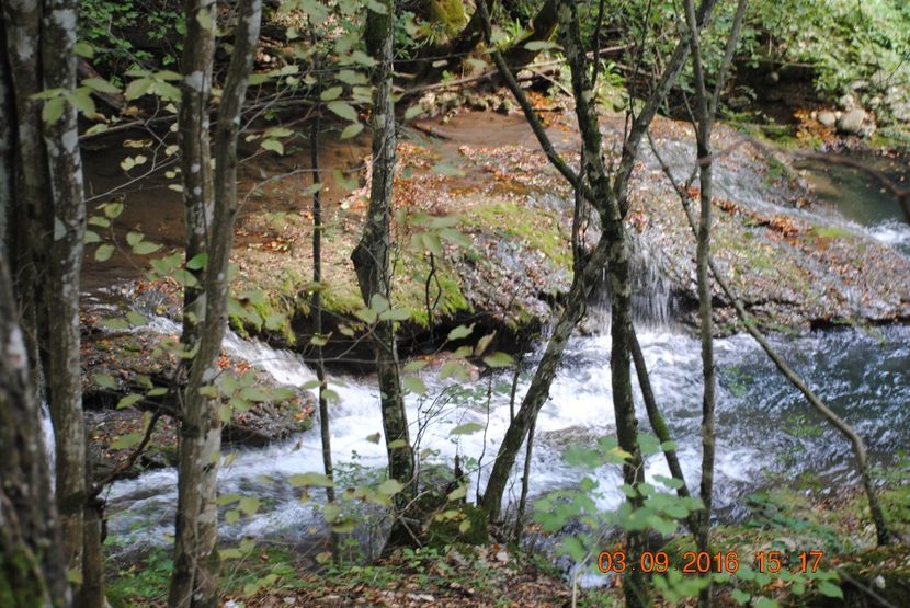  - 2016 02-04 septembrie CHEILE NEREI-CASCADA BEUSNITA-OCHIUL BEIULUI-CASCADA BIGAR
