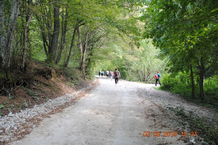  - 2016 02-04 septembrie CHEILE NEREI-CASCADA BEUSNITA-OCHIUL BEIULUI-CASCADA BIGAR