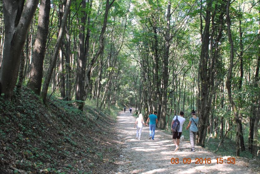  - 2016 02-04 septembrie CHEILE NEREI-CASCADA BEUSNITA-OCHIUL BEIULUI-CASCADA BIGAR