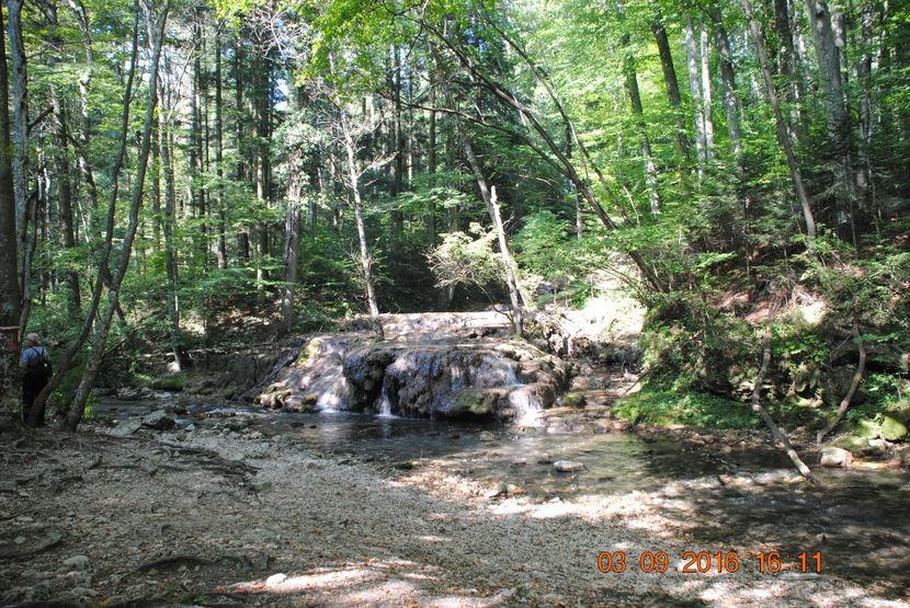  - 2016 02-04 septembrie CHEILE NEREI-CASCADA BEUSNITA-OCHIUL BEIULUI-CASCADA BIGAR