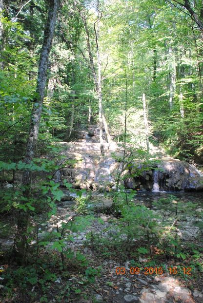 - 2016 02-04 septembrie CHEILE NEREI-CASCADA BEUSNITA-OCHIUL BEIULUI-CASCADA BIGAR