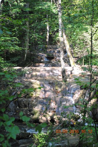  - 2016 02-04 septembrie CHEILE NEREI-CASCADA BEUSNITA-OCHIUL BEIULUI-CASCADA BIGAR
