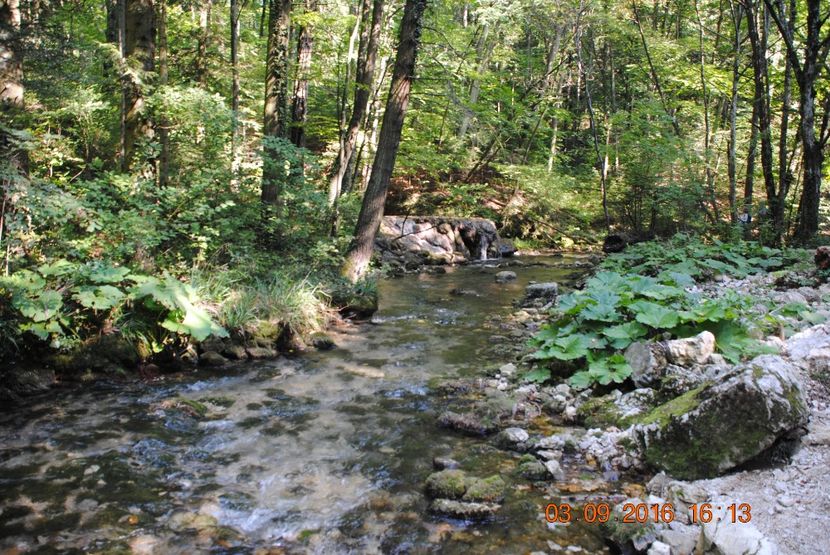  - 2016 02-04 septembrie CHEILE NEREI-CASCADA BEUSNITA-OCHIUL BEIULUI-CASCADA BIGAR