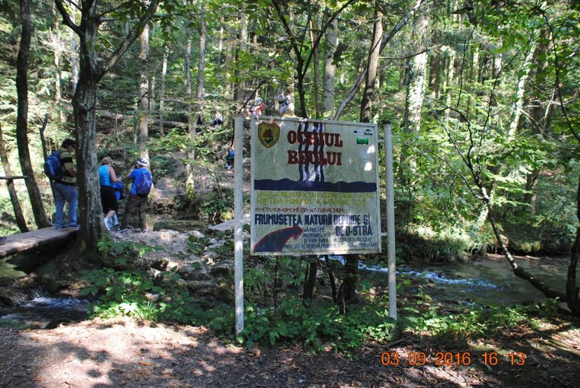  - 2016 02-04 septembrie CHEILE NEREI-CASCADA BEUSNITA-OCHIUL BEIULUI-CASCADA BIGAR
