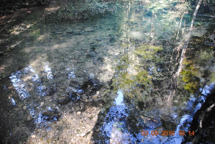  - 2016 02-04 septembrie CHEILE NEREI-CASCADA BEUSNITA-OCHIUL BEIULUI-CASCADA BIGAR