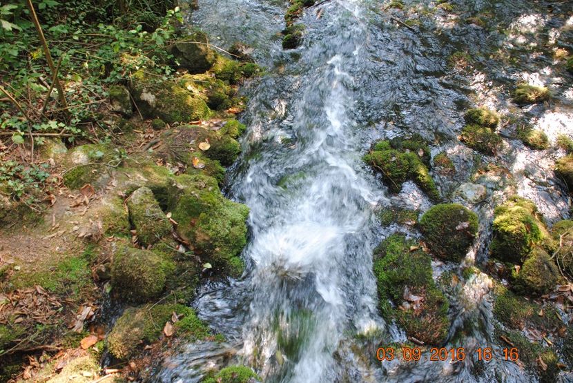  - 2016 02-04 septembrie CHEILE NEREI-CASCADA BEUSNITA-OCHIUL BEIULUI-CASCADA BIGAR