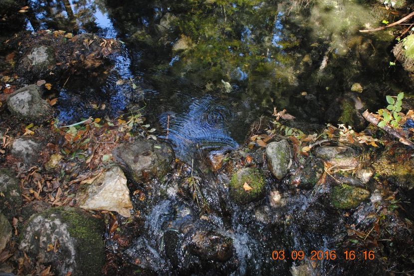  - 2016 02-04 septembrie CHEILE NEREI-CASCADA BEUSNITA-OCHIUL BEIULUI-CASCADA BIGAR