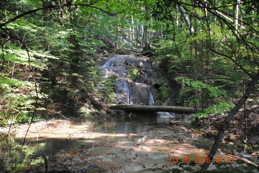  - 2016 02-04 septembrie CHEILE NEREI-CASCADA BEUSNITA-OCHIUL BEIULUI-CASCADA BIGAR
