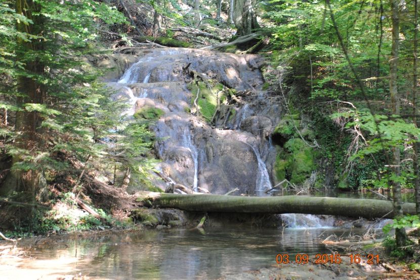  - 2016 02-04 septembrie CHEILE NEREI-CASCADA BEUSNITA-OCHIUL BEIULUI-CASCADA BIGAR