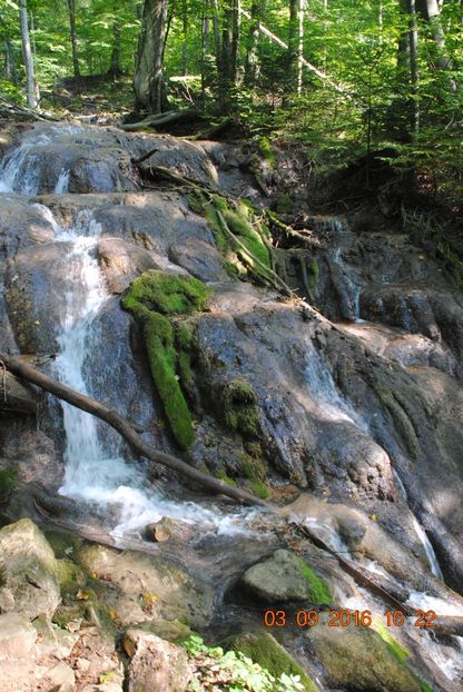  - 2016 02-04 septembrie CHEILE NEREI-CASCADA BEUSNITA-OCHIUL BEIULUI-CASCADA BIGAR