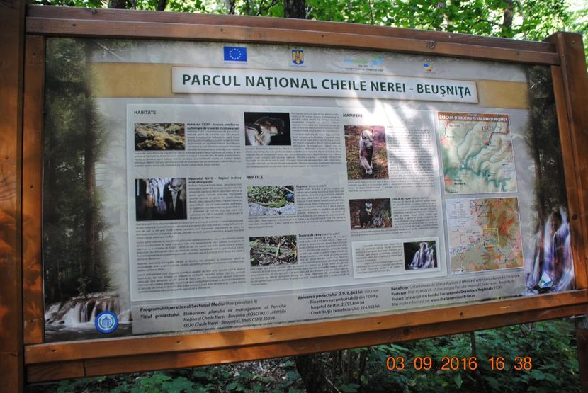  - 2016 02-04 septembrie CHEILE NEREI-CASCADA BEUSNITA-OCHIUL BEIULUI-CASCADA BIGAR