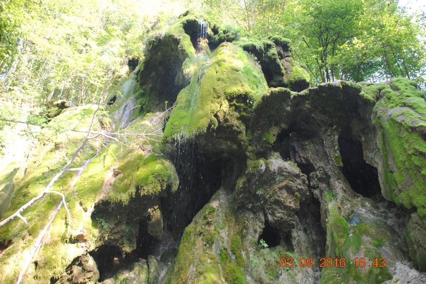  - 2016 02-04 septembrie CHEILE NEREI-CASCADA BEUSNITA-OCHIUL BEIULUI-CASCADA BIGAR