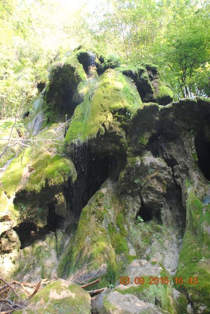  - 2016 02-04 septembrie CHEILE NEREI-CASCADA BEUSNITA-OCHIUL BEIULUI-CASCADA BIGAR