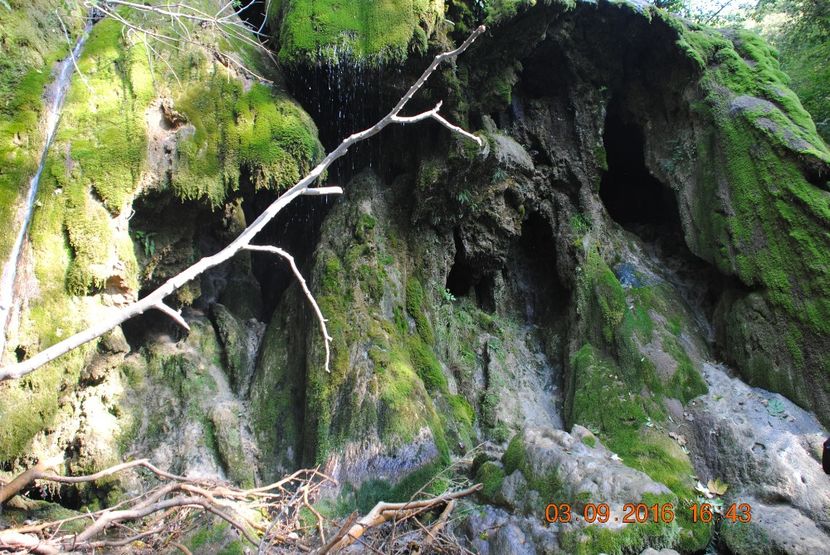  - 2016 02-04 septembrie CHEILE NEREI-CASCADA BEUSNITA-OCHIUL BEIULUI-CASCADA BIGAR