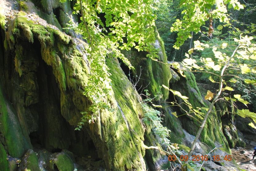  - 2016 02-04 septembrie CHEILE NEREI-CASCADA BEUSNITA-OCHIUL BEIULUI-CASCADA BIGAR
