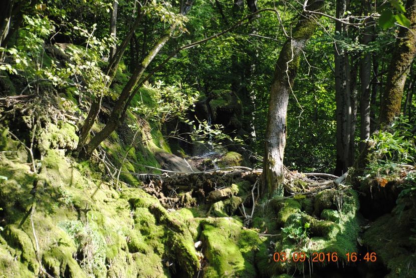  - 2016 02-04 septembrie CHEILE NEREI-CASCADA BEUSNITA-OCHIUL BEIULUI-CASCADA BIGAR
