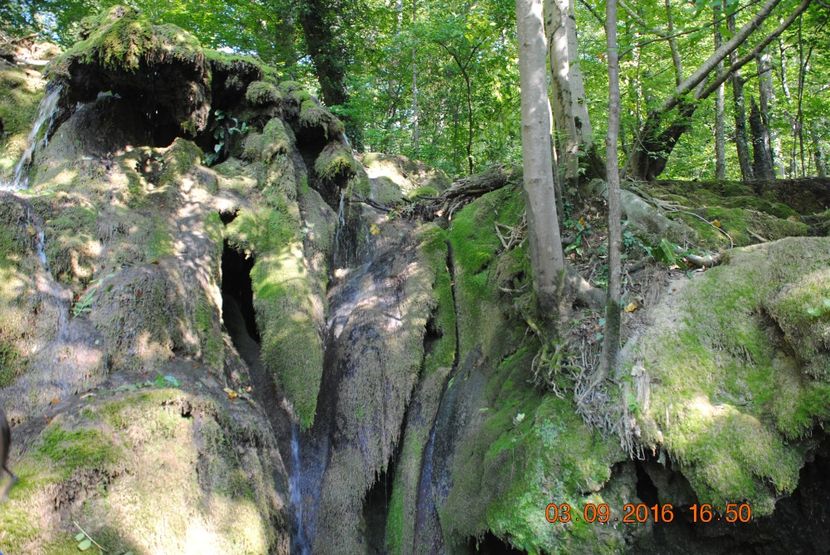  - 2016 02-04 septembrie CHEILE NEREI-CASCADA BEUSNITA-OCHIUL BEIULUI-CASCADA BIGAR