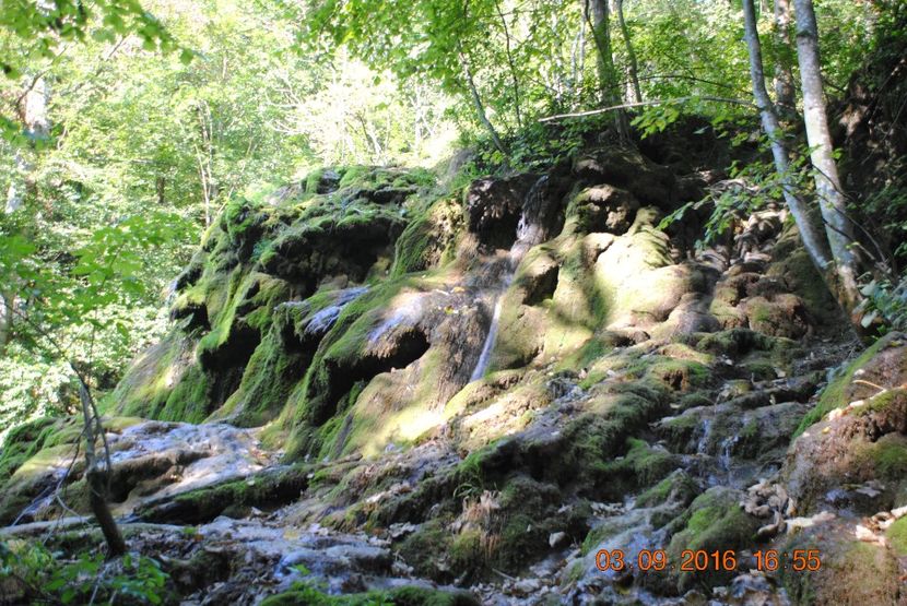  - 2016 02-04 septembrie CHEILE NEREI-CASCADA BEUSNITA-OCHIUL BEIULUI-CASCADA BIGAR