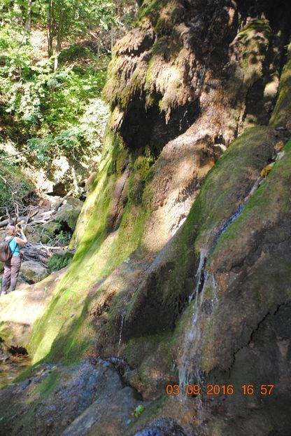  - 2016 02-04 septembrie CHEILE NEREI-CASCADA BEUSNITA-OCHIUL BEIULUI-CASCADA BIGAR