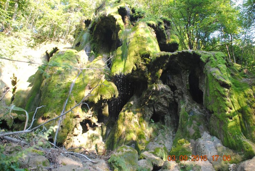  - 2016 02-04 septembrie CHEILE NEREI-CASCADA BEUSNITA-OCHIUL BEIULUI-CASCADA BIGAR