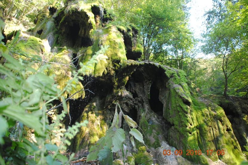  - 2016 02-04 septembrie CHEILE NEREI-CASCADA BEUSNITA-OCHIUL BEIULUI-CASCADA BIGAR
