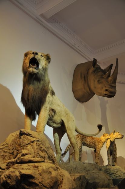  - 2017poze 30 12 2017