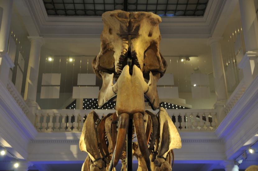  - 2017poze 30 12 2017