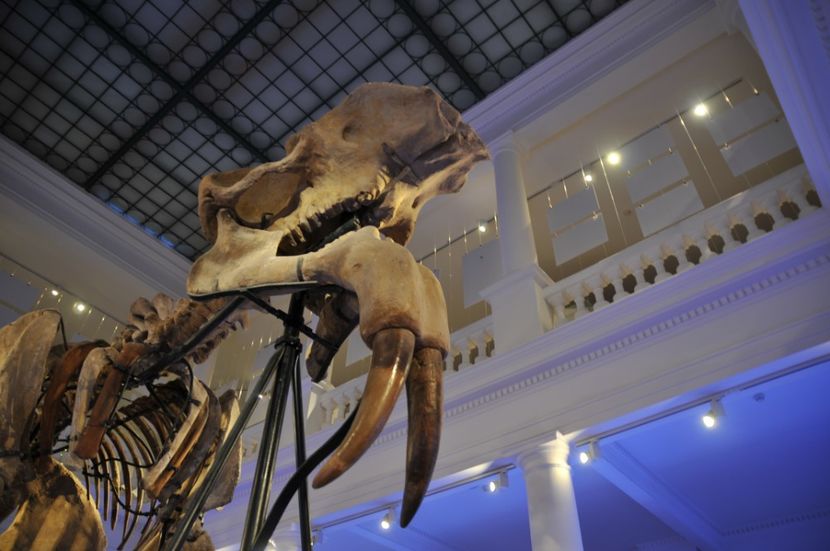  - 2017poze 30 12 2017