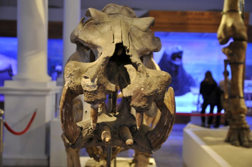  - 2017poze 30 12 2017