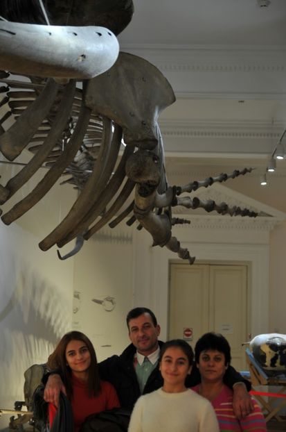  - 2017poze 30 12 2017