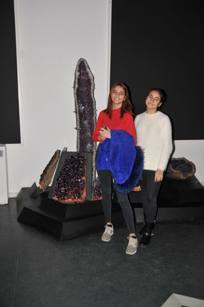  - 2017poze 30 12 2017