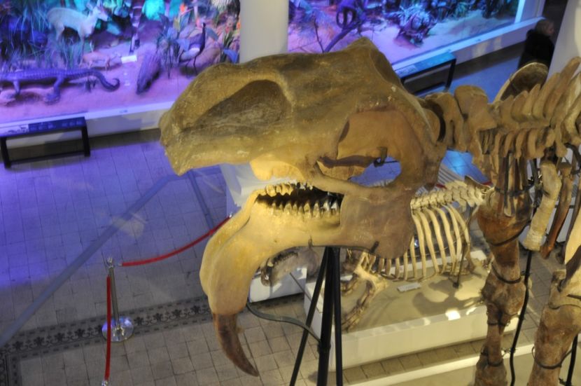  - 2017poze 30 12 2017