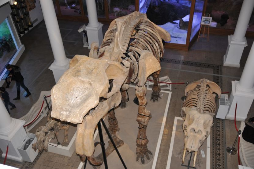  - 2017poze 30 12 2017