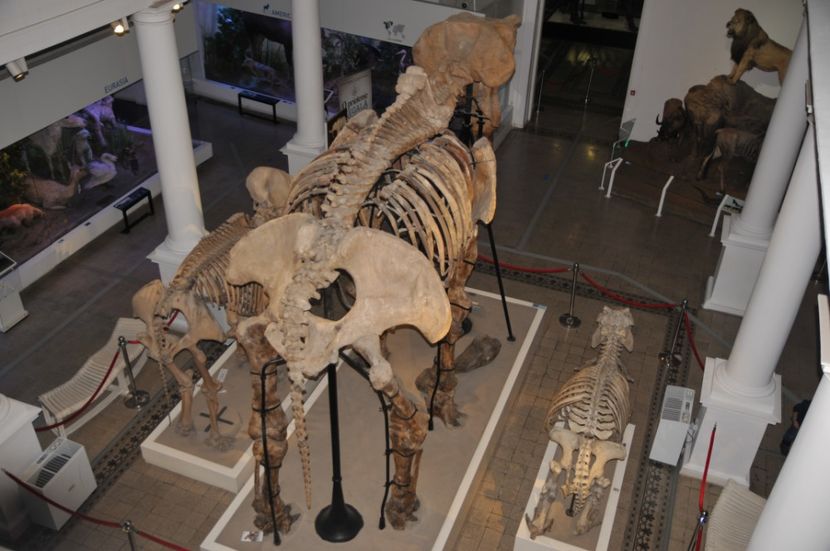  - 2017poze 30 12 2017